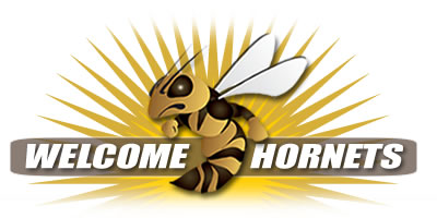 Go to https://live.hssu.edu/ics